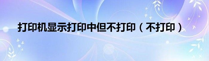 打印机显示打印中但不打印（不打印）