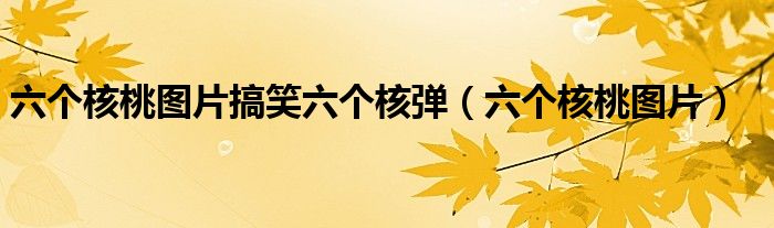 六个核桃图片搞笑六个核弹（六个核桃图片）