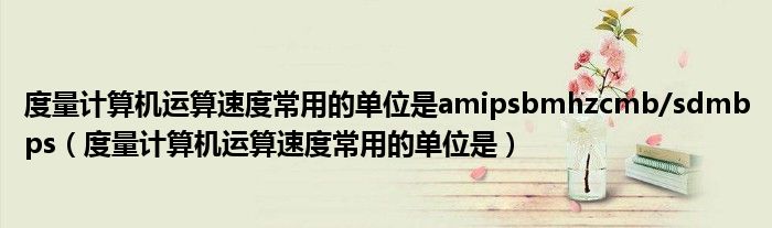度量计算机运算速度常用的单位是amipsbmhzcmb/sdmbps（度量计算机运算速度常用的单位是）