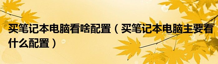买笔记本电脑看啥配置（买笔记本电脑主要看什么配置）