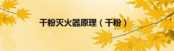 干粉灭火器原理（干粉）