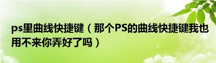 ps里曲线快捷键（那个PS的曲线快捷键我也用不来你弄好了吗）