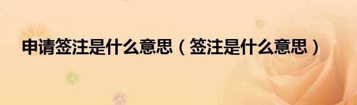 申请签注是什么意思（签注是什么意思）
