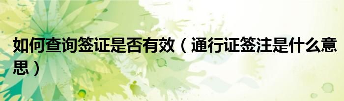 如何查询签证是否有效（通行证签注是什么意思）