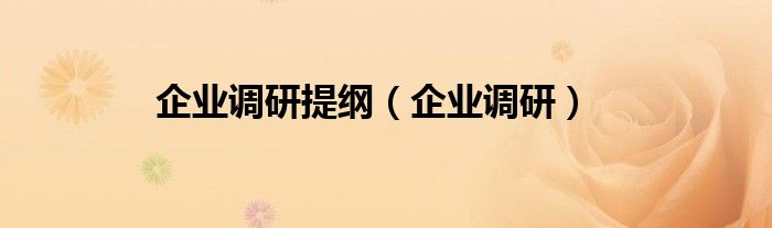 企业调研提纲（企业调研）