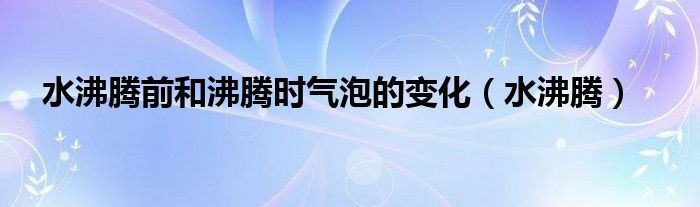 水沸腾前和沸腾时气泡的变化（水沸腾）