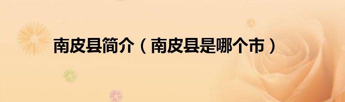 南皮县简介（南皮县是哪个市）