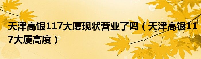天津高银117大厦现状营业了吗（天津高银117大厦高度）