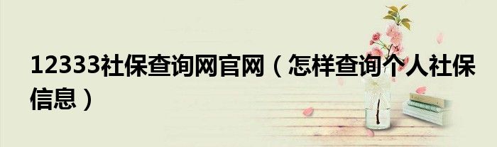 12333社保查询网官网（怎样查询个人社保信息）