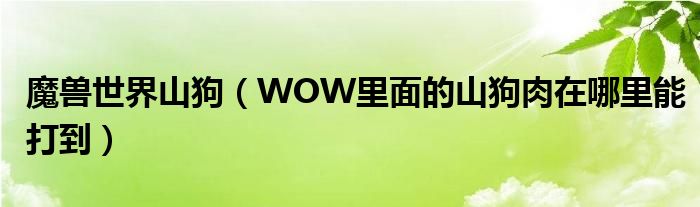 魔兽世界山狗（WOW里面的山狗肉在哪里能打到）