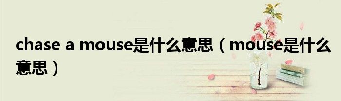 chase a mouse是什么意思（mouse是什么意思）