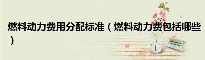 燃料动力费用分配标准（燃料动力费包括哪些）