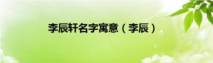 李辰轩名字寓意（李辰）