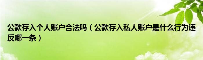 公款存入个人账户合法吗（公款存入私人账户是什么行为违反哪一条）