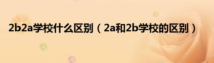 2b2a学校什么区别（2a和2b学校的区别）