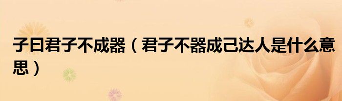 子曰君子不成器（君子不器成己达人是什么意思）