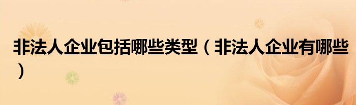 非法人企业包括哪些类型（非法人企业有哪些）