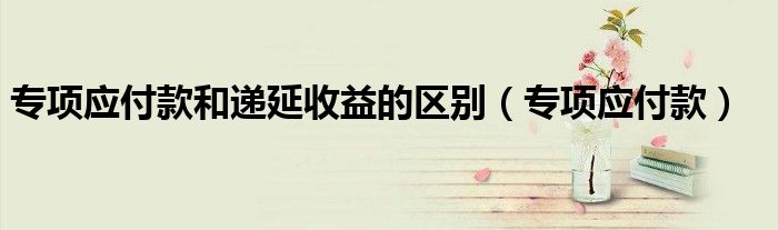 专项应付款和递延收益的区别（专项应付款）