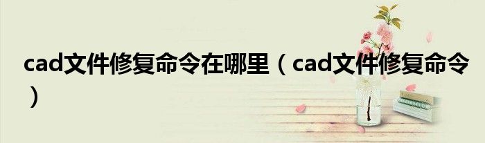 cad文件修复命令在哪里（cad文件修复命令）