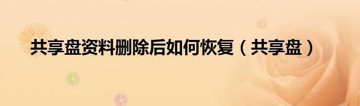 共享盘资料删除后如何恢复（共享盘）