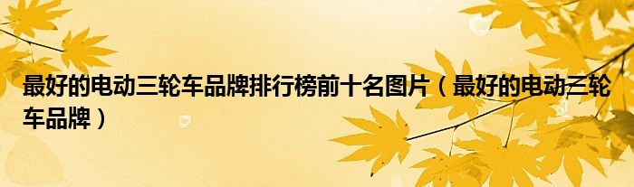最好的电动三轮车品牌排行榜前十名图片（最好的电动三轮车品牌）