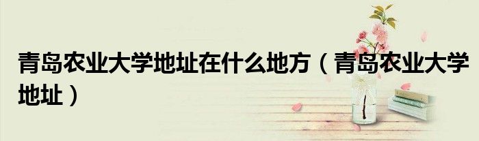 青岛农业大学地址在什么地方（青岛农业大学地址）