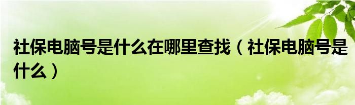 社保电脑号是什么在哪里查找（社保电脑号是什么）