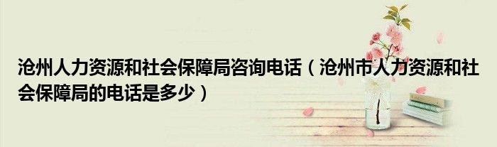 沧州人力资源和社会保障局咨询电话（沧州市人力资源和社会保障局的电话是多少）