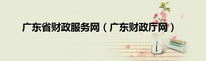 广东省财政服务网（广东财政厅网）