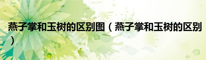 燕子掌和玉树的区别图（燕子掌和玉树的区别）