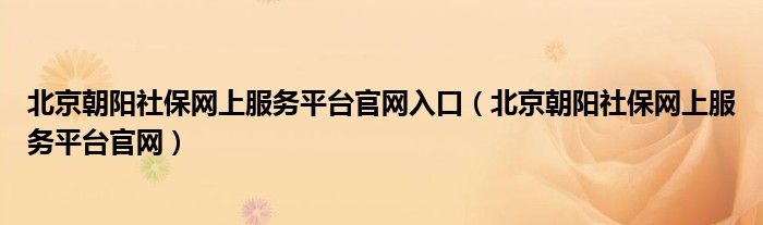 北京朝阳社保网上服务平台官网入口（北京朝阳社保网上服务平台官网）