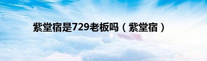 紫堂宿是729老板吗（紫堂宿）