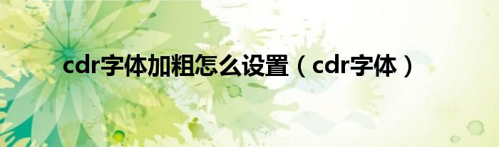 cdr字体加粗怎么设置（cdr字体）