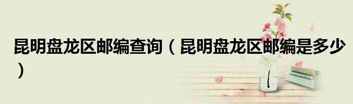 昆明盘龙区邮编查询（昆明盘龙区邮编是多少）