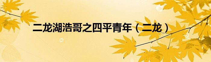 二龙湖浩哥之四平青年（二龙）