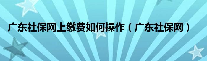 广东社保网上缴费如何操作（广东社保网）