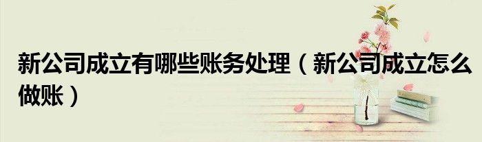 新公司成立有哪些账务处理（新公司成立怎么做账）