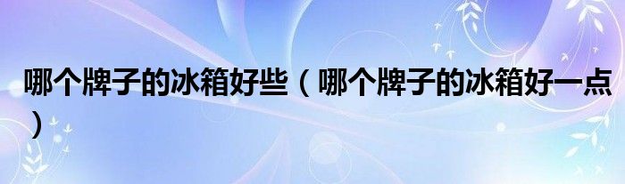 哪个牌子的冰箱好些（哪个牌子的冰箱好一点）