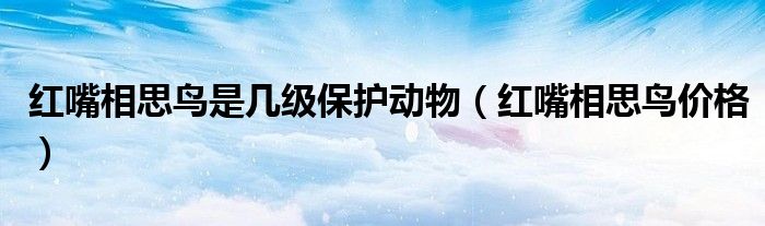 红嘴相思鸟是几级保护动物（红嘴相思鸟价格）