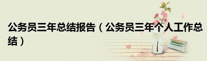 公务员三年总结报告（公务员三年个人工作总结）