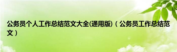 公务员个人工作总结范文大全(通用版)（公务员工作总结范文）