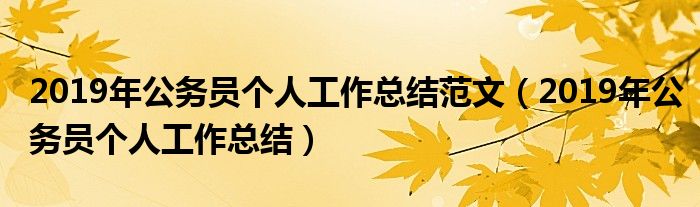 2019年公务员个人工作总结范文（2019年公务员个人工作总结）