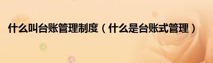 什么叫台账管理制度（什么是台账式管理）