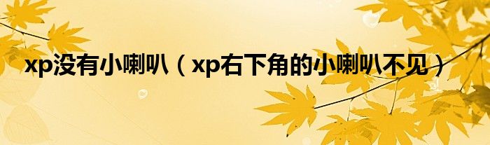 xp没有小喇叭（xp右下角的小喇叭不见）