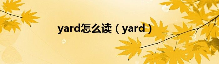 yard怎么读（yard）