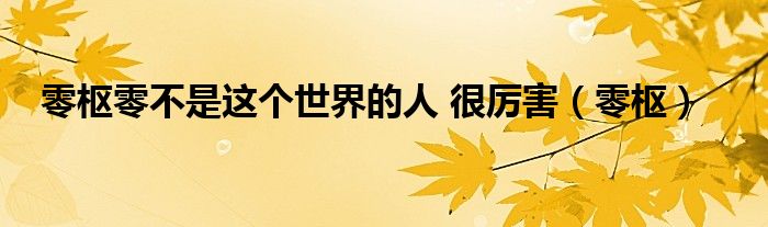 零枢零不是这个世界的人 很厉害（零枢）