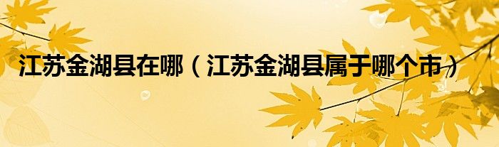 江苏金湖县在哪（江苏金湖县属于哪个市）