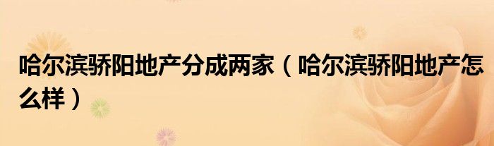 哈尔滨骄阳地产分成两家（哈尔滨骄阳地产怎么样）