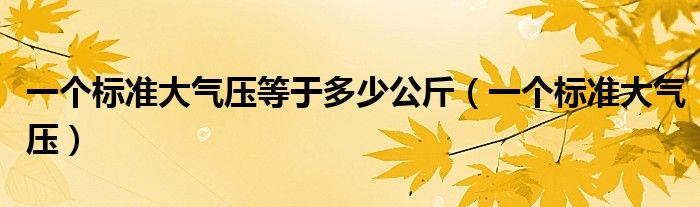 一个标准大气压等于多少公斤（一个标准大气压）