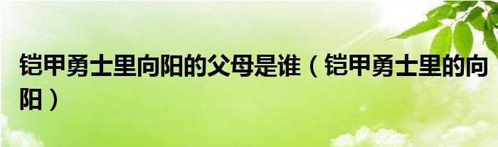 铠甲勇士里向阳的父母是谁（铠甲勇士里的向阳）